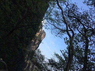 林间蓝天与建筑景致