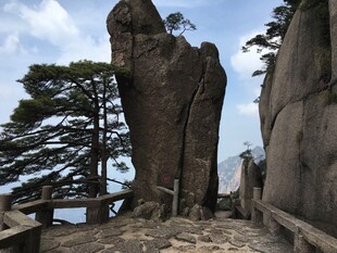 黄山奇峰与苍松景观