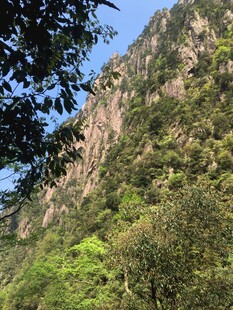 青山绿树间的壮丽山景