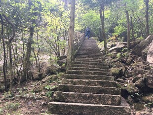 山林中的石阶步道