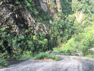 山间蜿蜒公路旁绿意盎然