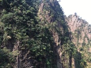 巍峨青山覆绿植