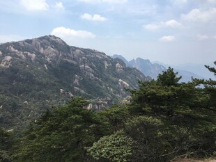 山峦葱郁的壮美自然景观