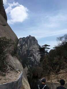山间景致 岩石与树木相伴