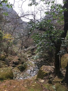 山间溪流 静谧自然之景