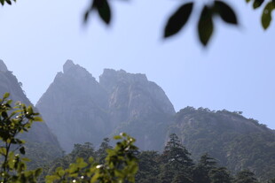 秀丽山峰与葱郁林木景观