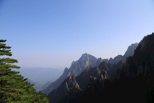 巍峨青山伴挺拔绿树