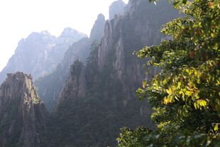 壮丽山峰与葱郁树木景观