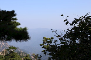 湖畔绿植与宁静水面景色