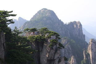 壮丽黄山奇峰与苍松