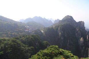 壮丽山峦间的葱郁景致