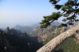 黄山奇峰与苍松景观