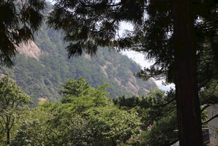 山林葱郁间的秀丽景致