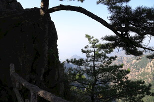 山间松景 峭壁旁的自然美