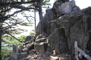 山间嶙峋岩石与树木景观