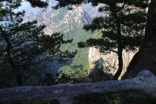山间松景 远眺壮丽山峦