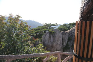 山间竹栏旁的自然景致