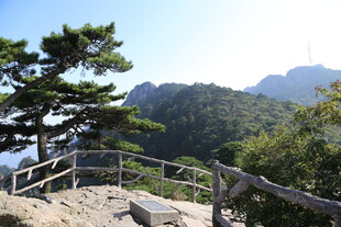 山间松景 木栏相伴赏风光