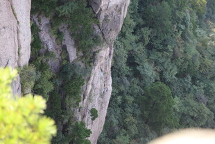 陡峭山壁与葱郁植被