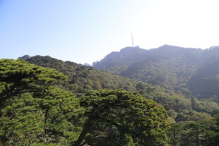 青山绿树间的壮美山景