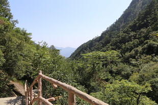 山间木栏处的秀丽风光