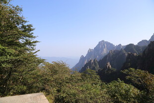 壮丽山景与葱郁植被