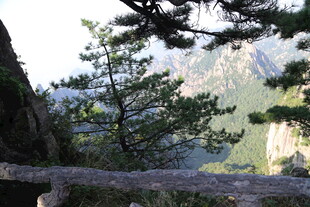 山间松景 远眺秀丽山峦