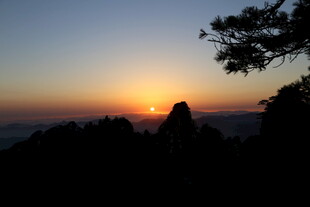 日出时分的山林剪影