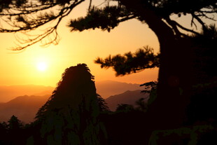 夕阳下的苍松与山峦