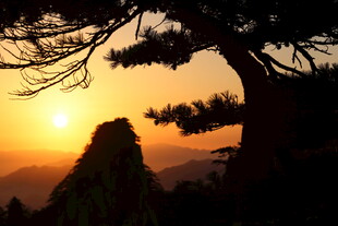 夕阳下的苍松与远山