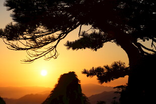 夕阳下的苍松与远山