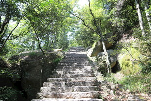 山林中的石阶步道