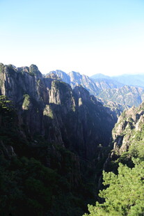 壮丽山景 绿意盎然的峡谷