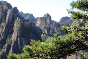 巍峨山峰与翠绿松树
