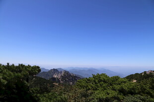 山巅之上的蓝天绿树景观