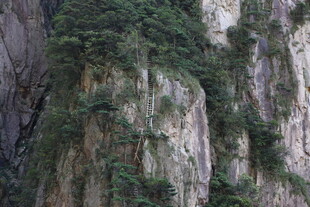 陡峭山峰上的茂密植被
