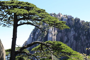 黄山迎客松与壮丽山峦