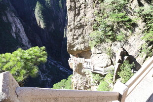 山间陡峭石阶与葱郁植被