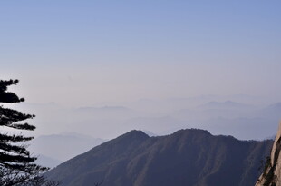 山巅远景 林木相伴