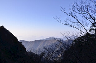 山巅枯树与辽阔远景