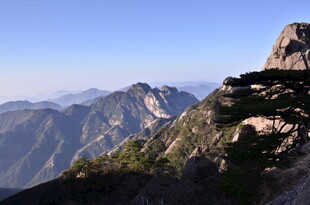 巍峨山峰上的挺拔松树