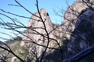 巍峨山峰与光秃树枝景观