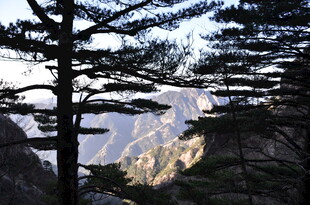 山林间的壮丽雪山景观