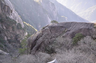壮丽山景 岩石与植被景观