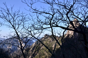 山间树枝与远处山峦景色