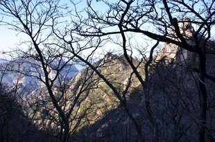 山林间的冬日景致