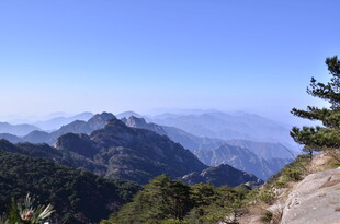 山巅美景 青松伴远山
