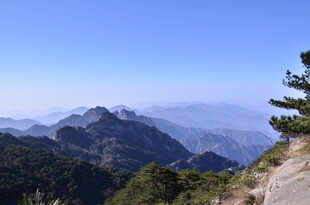 山巅美景 青松伴连绵山峦