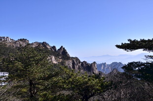 黄山奇峰与苍松景观