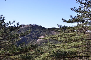 山林间的秀丽景致